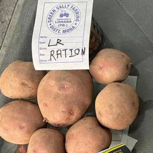 Potato LR Ration