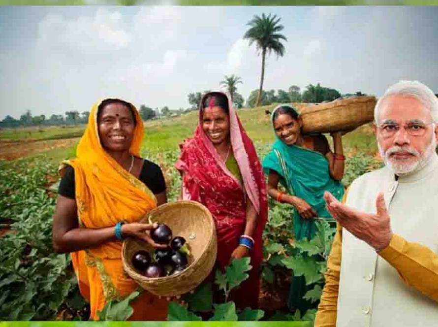 Major Changes in KCC Card! How to Benefit in 2025